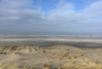 am Strand spazieren gehen