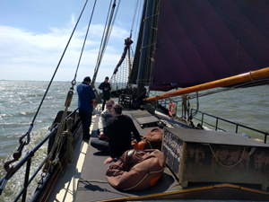 Segeln am IJsselmeer mit der Albatros 04 2017