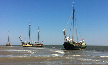 Droogvallen op het wad met de Albatros